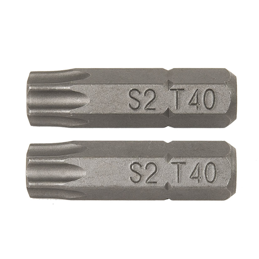 PUNTAS 25MM.TORX Nº 25 (2 UDS)